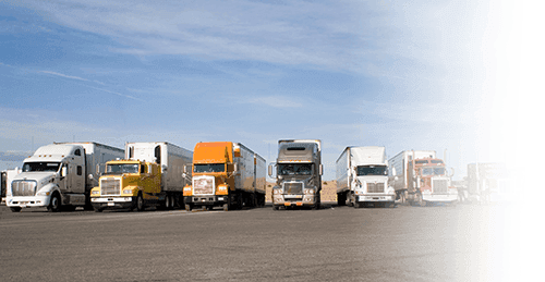 Row of parked semi-trucks in various colors on an open lot under a blue sky.